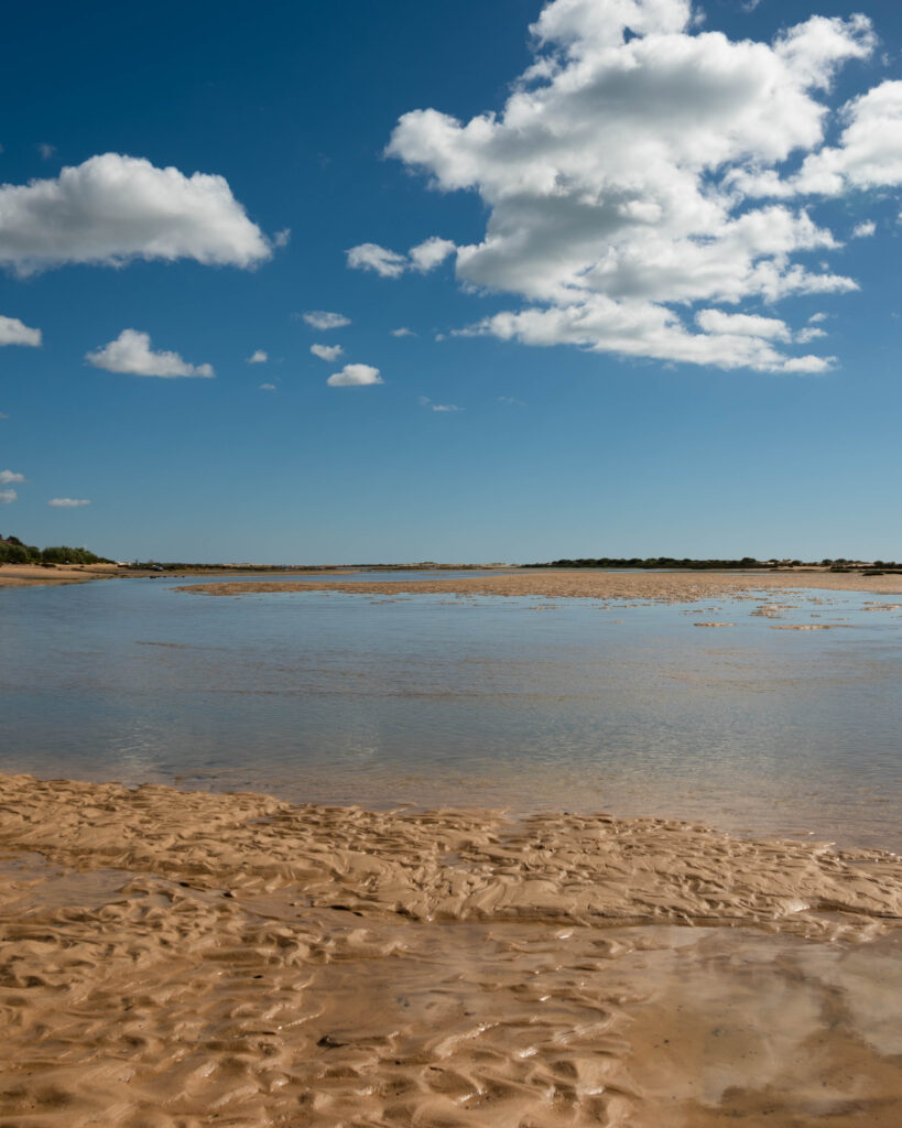 Coastal beach scene with soft sky colors for airy and calming palette inspiration