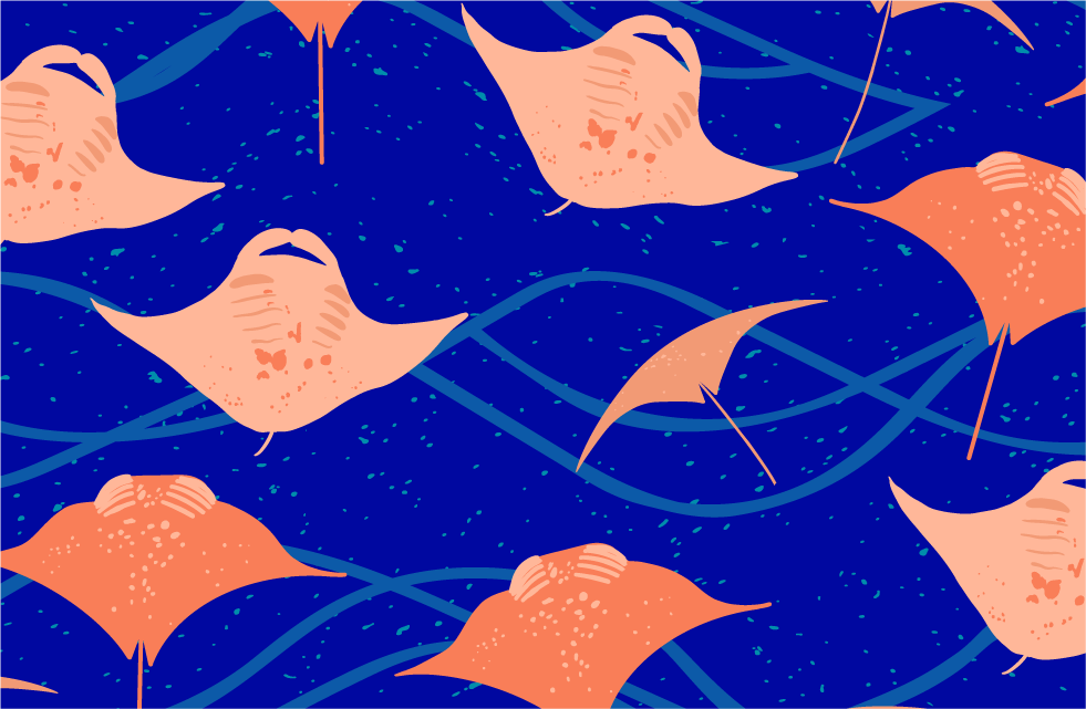 Pattern of manta rays dancing through deep blue ocean waves – Moana Mood collection